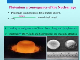 Plutonium a consequence of the Nuclear age
• Plutonium is among most toxic metals known.
emits
• 239Pu
α-particle (high energy)
 Leading to malignancies of liver , bone , lung, and lymph nodes.
 Treatment DTPA salts and Siderophores are specially effective
 