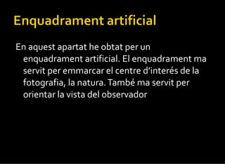 En aquest apartat he obtat per un enquadrament artificial. El enquadrament ma servit per emmarcar el centre d’interés de la fotografia, la natura. També ma servit per orientar la vista del observador . 