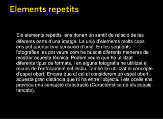 Els elements repetits  ens donen un sentit de relació de les diferents parts d’una imatge. La unió d’elements molts cops ens pot aportar una sensació d’unió. En les següents fotografies  es pot veure com he buscat diferents maneres de mostrar aquesta tècnica. Podem veure que he utilitzat diferents tipus de formats, i en alguna fotografia he utilitzat el recurs de l’enfocament sel.lectiu. També he utilitzat el concepte d’espai obert. Encara que el cel el considerem un espai obert, aquesta gran distància que hi ha entre l’objectiu i els ocells ens provoca una sensació d’abstració (Característica de els espais tancats). 