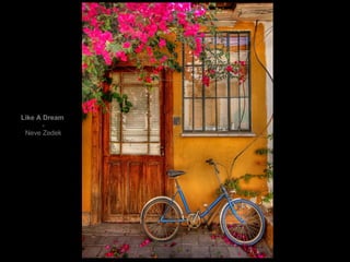 Like A Dream - Neve Zedek 
