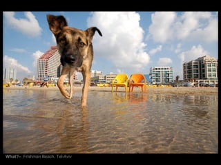 What?–  Frishman Beach, Tel-Aviv 