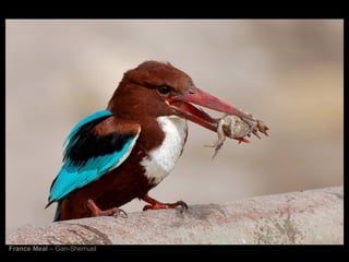 France Meal  – Gan-Shemuel   