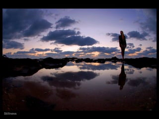 Stillness 