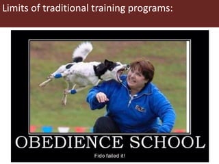 Overview of Capacity Development (CapDev) in the CRP on Humidtropics—A discussion on CapDev needs and how CapDev can support the ECA Flagship work