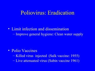 Poliovirus: Eradication Limit infection and dissemination Improve general hygiene: Clean water supply Polio Vaccines  Killed virus  injected  (Salk vaccine: 1955) Live attenuated virus (Sabin vaccine 1961) 