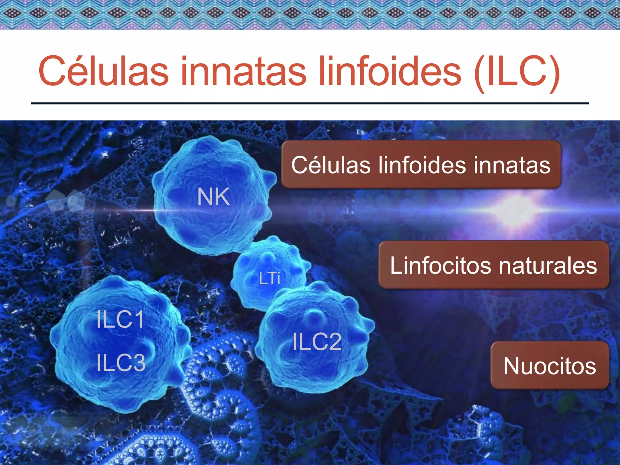 Células innatas linfoides en enfermedades alérgicas. Prof. Ortega