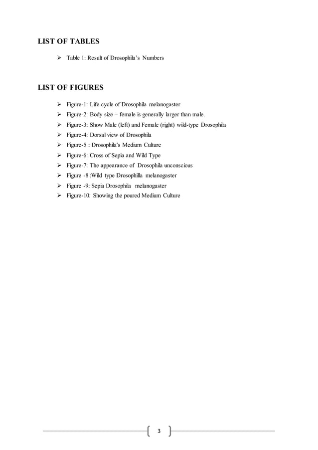 Drosophila Laboratory Report 1 PDF