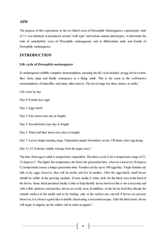Drosophila Laboratory Report 1 PDF