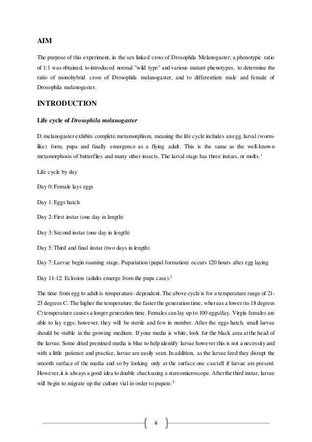 Drosophila Laboratory Report 1