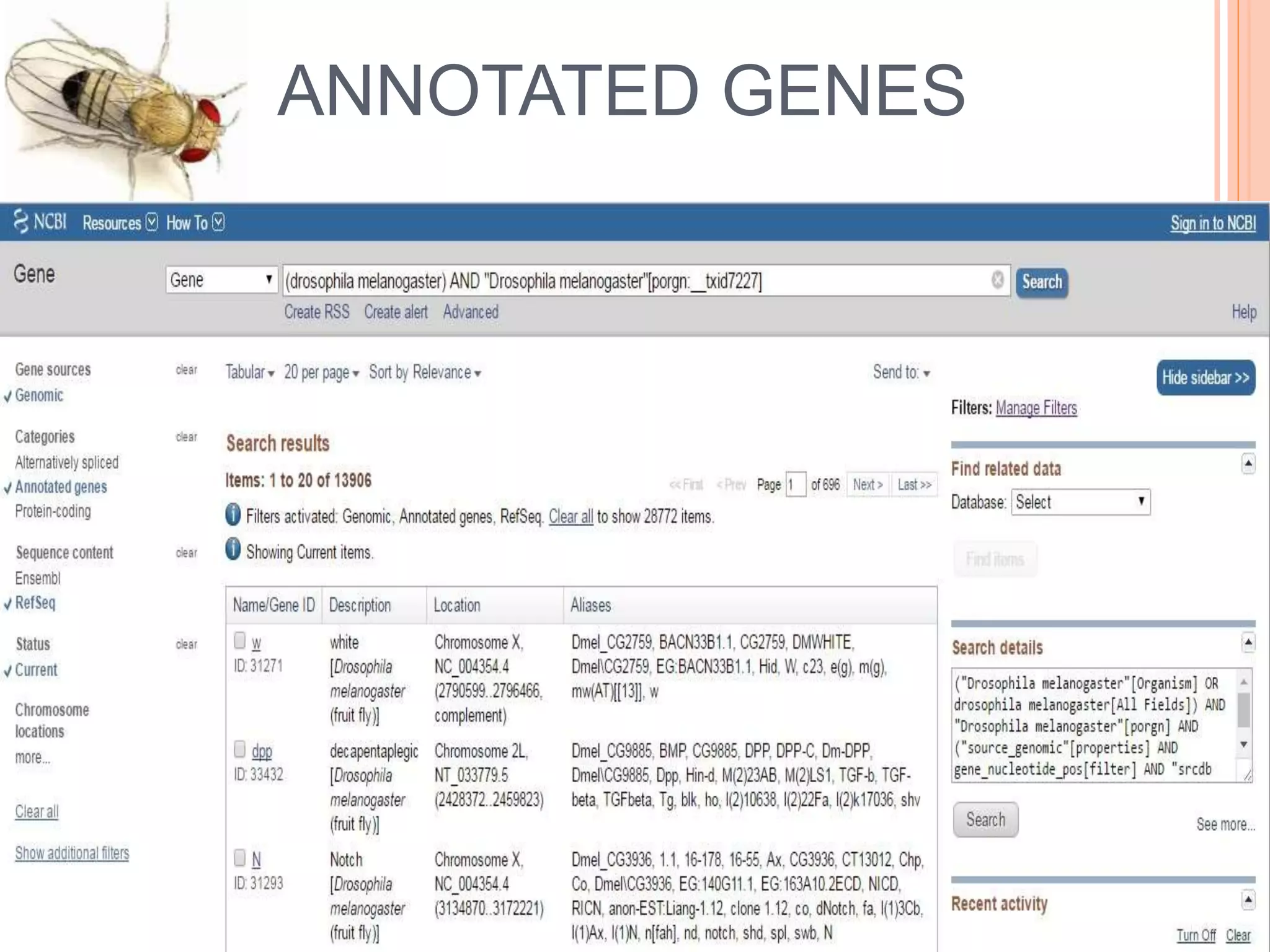 Drosophila melanogaster (genome analysis) | PPTX