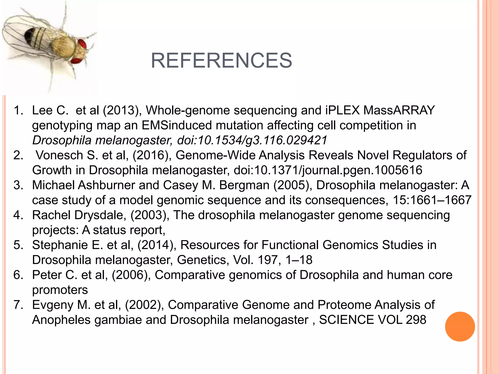 Drosophila melanogaster (genome analysis) | PPTX