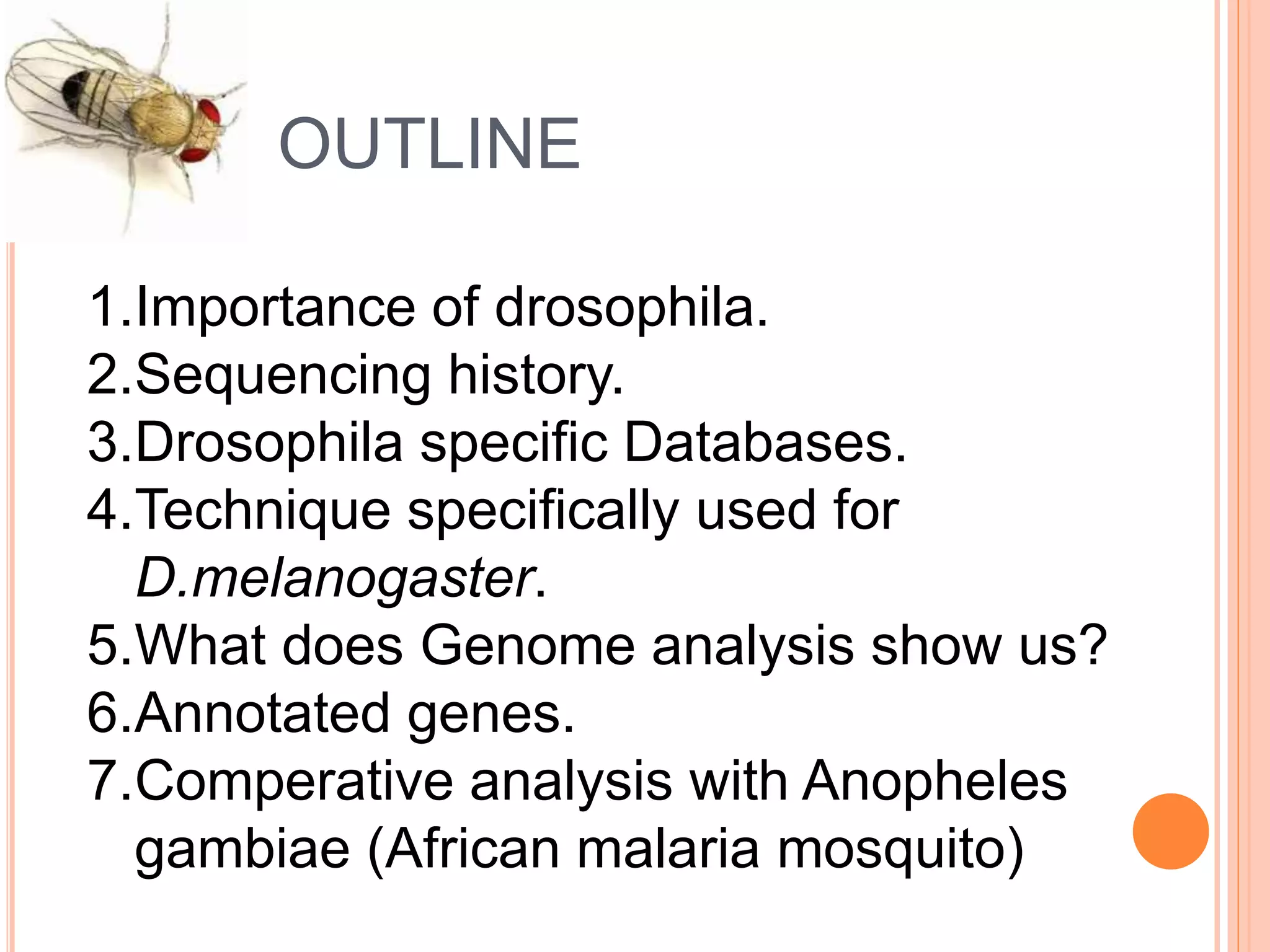 Drosophila melanogaster (genome analysis) | PPTX