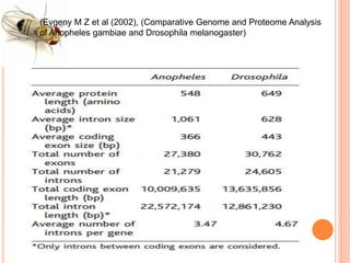 Drosophila melanogaster (genome analysis) | PPTX