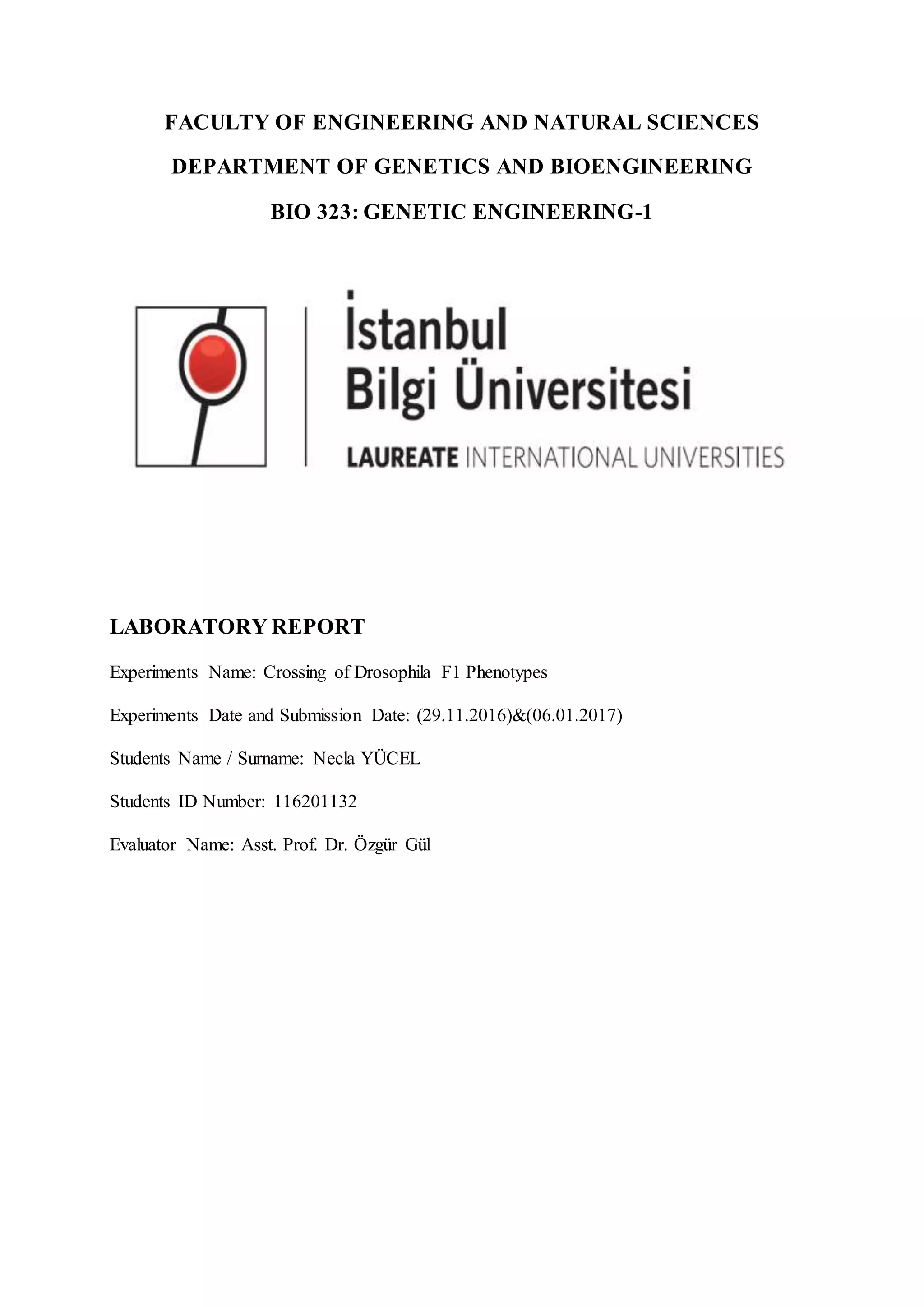 Drosophila Laboratory Report 2 PDF