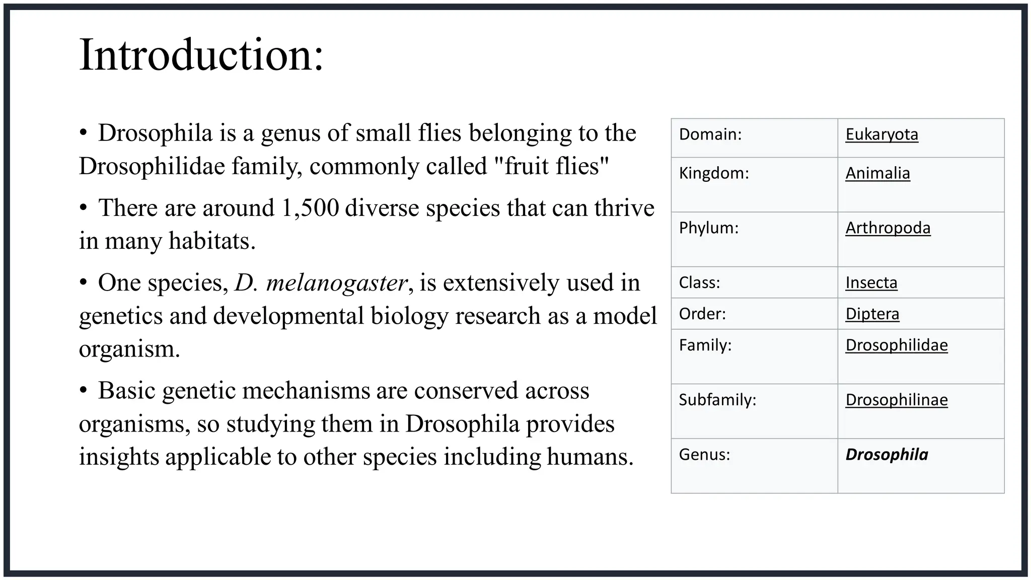 Drosophila Life Cycle and culturing technique.pdf