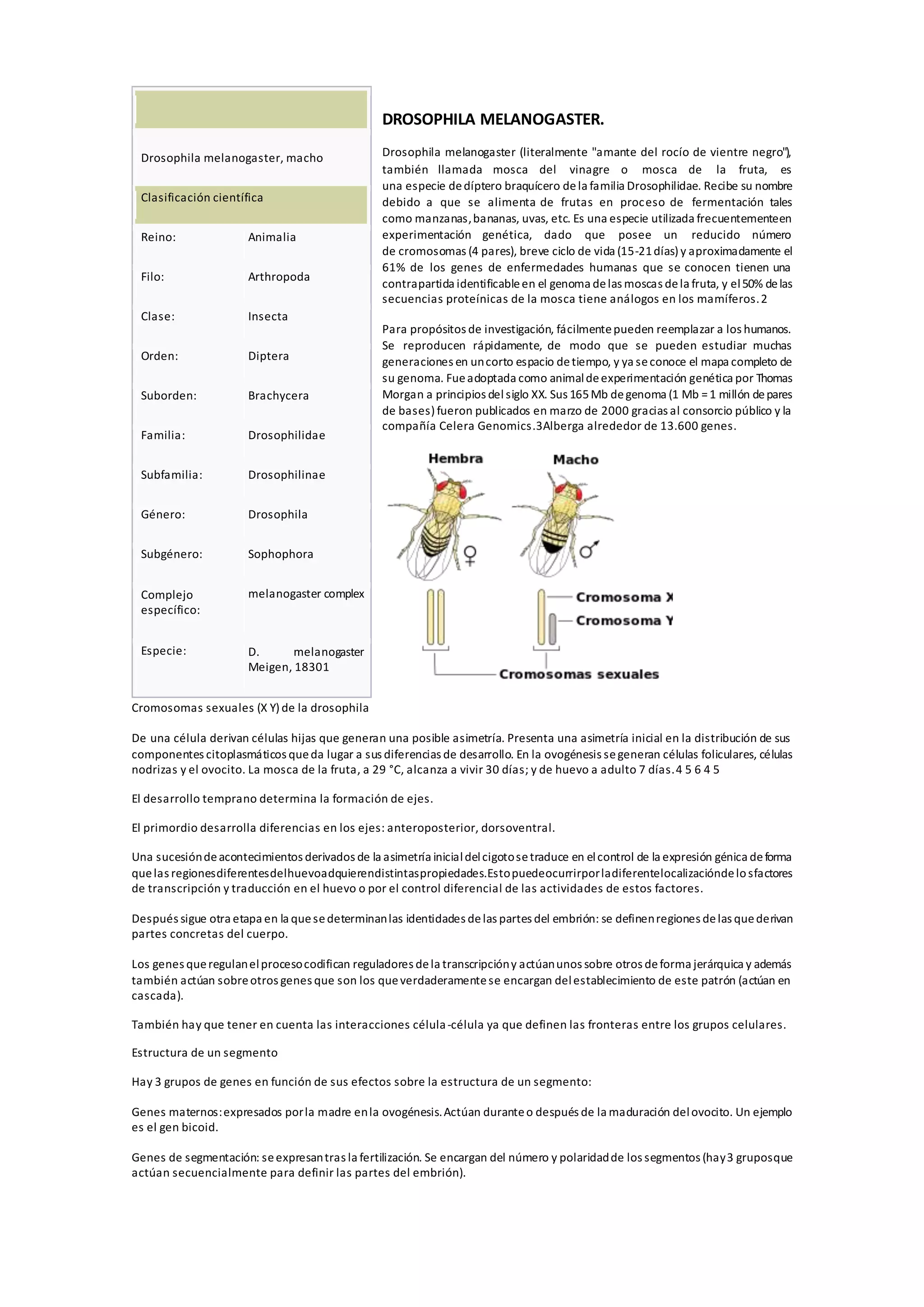 Drosophila melanogaster | PDF