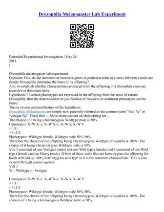 Drosophila Melanogaster Experiment | PDF
