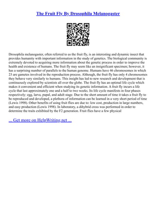 Drosophila Melanogaster Experiment | PDF
