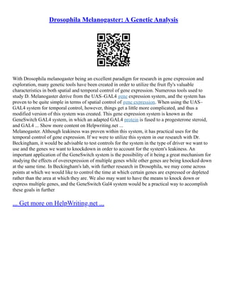 Drosophila Melanogaster Experiment | PDF