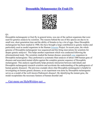 Drosophila Melanogaster Experiment | PDF