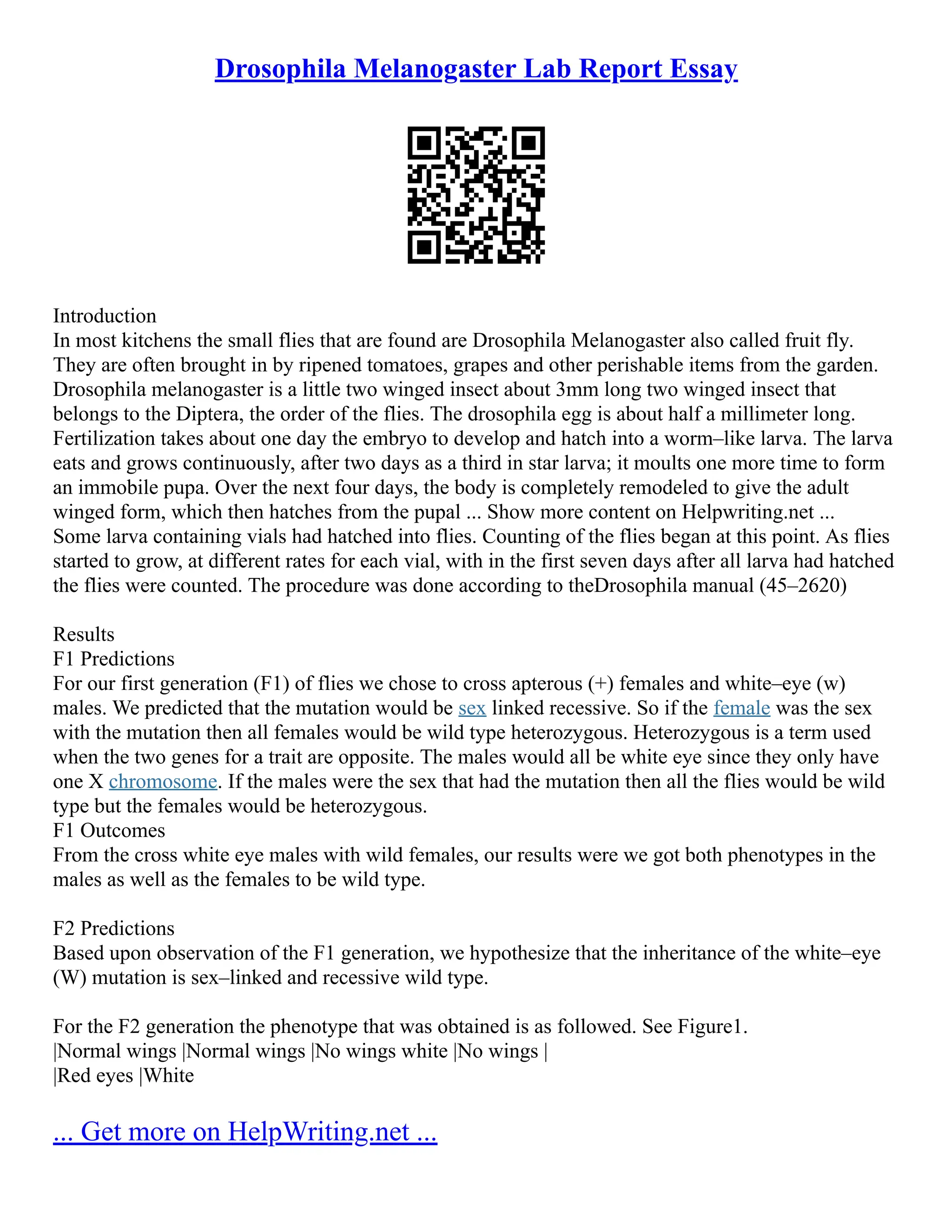 Drosophila Melanogaster Lab Report Essay PDF
