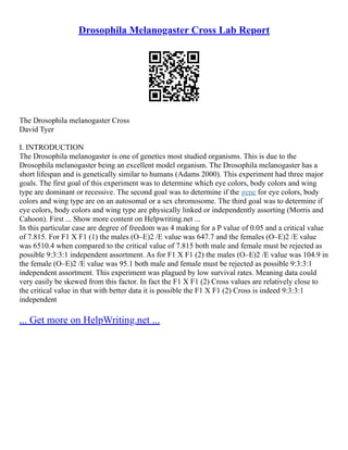 Drosophila Melanogaster Lab Report Essay | PDF