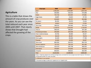 AgricultureThis is a table that shows the amount of crop produces over the years. As you can see the total reduced each year since 2005 until 2007. That clearly shows that Drought had affected the growing of the crops.