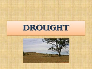 DROUGHT
 