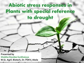 Abiotic stress responses in
Plants with special reference
to drought
Presented by
Shobha Devidas Surbhaiyya
M.Sc. Agril. Biotech, Dr. PDKV, Akola
 