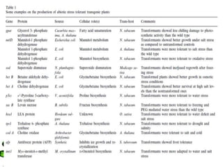 Abiotic stress responses in plants with special reference to drought | PPTX