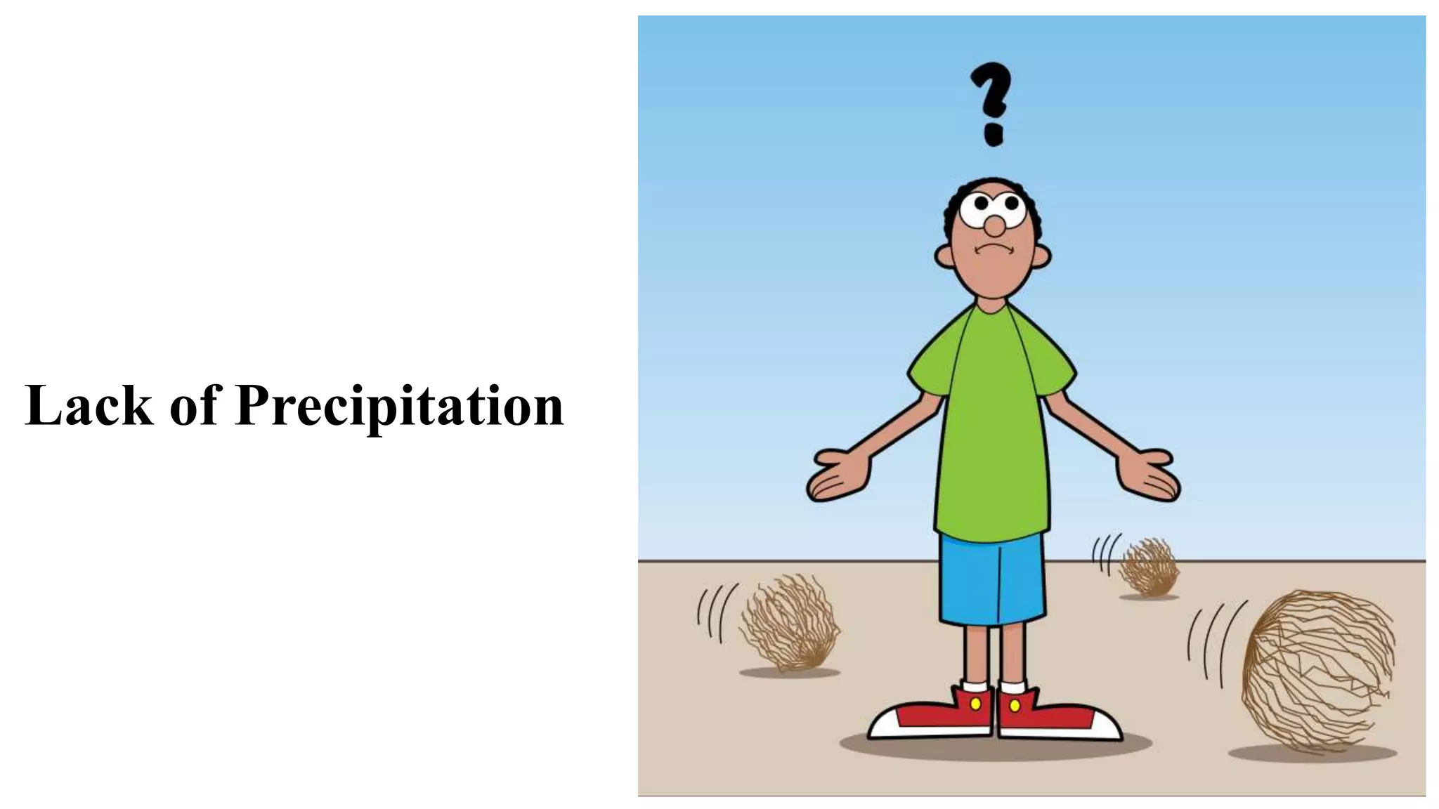 Lack of Precipitation
 