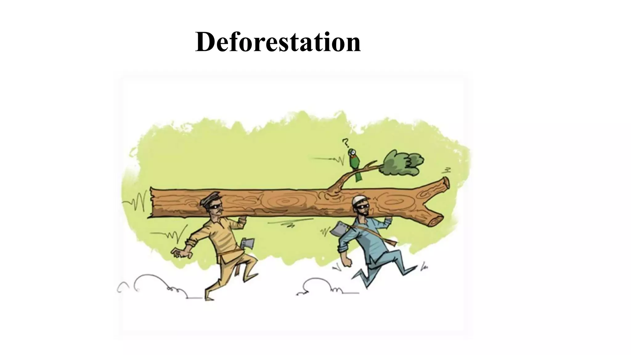 Deforestation
 
