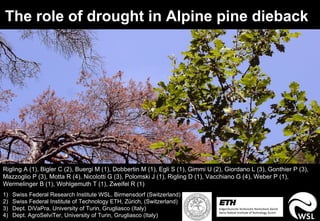 The role of drought in Alpine pine dieback  Rigling A (1), Bigler C (2), Buergi M (1), Dobbertin M (1), Egli S (1), Gimmi U (2), Giordano L (3), Gonthier P (3), Mazzoglio P (3), Motta R (4), Nicolotti G (3), Polomski J (1), Rigling D (1), Vacchiano G (4), Weber P (1), Wermelinger B (1), Wohlgemuth T (1), Zweifel R (1) ,[object Object],[object Object],[object Object],[object Object],* ** 