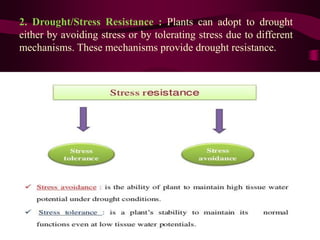 2. Drought/Stress Resistance : Plants can adopt to drought
either by avoiding stress or by tolerating stress due to different
mechanisms. These mechanisms provide drought resistance.
 