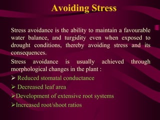 Avoiding Stress
Stress avoidance is the ability to maintain a favourable
water balance, and turgidity even when exposed to
drought conditions, thereby avoiding stress and its
consequences.
Stress avoidance is usually achieved through
morphological changes in the plant :
 Reduced stomatal conductance
 Decreased leaf area
Development of extensive root systems
Increased root/shoot ratios
 