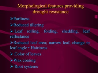 Morphological features providing
drought resistance
Earliness
Reduced tillering
 Leaf rolling, folding, shedding, leaf
reflectance
Reduced leaf area; narrow leaf, change in
leaf angle • Hairiness
 Color of leaves
Wax coating
 Root systems
 