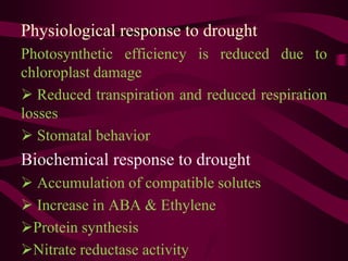 Physiological response to drought
Photosynthetic efficiency is reduced due to
chloroplast damage
 Reduced transpiration and reduced respiration
losses
 Stomatal behavior
Biochemical response to drought
 Accumulation of compatible solutes
 Increase in ABA & Ethylene
Protein synthesis
Nitrate reductase activity
 