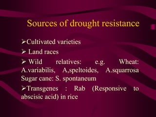 Sources of drought resistance
Cultivated varieties
 Land races
 Wild relatives: e.g. Wheat:
A.variabilis, A,speltoides, A.squarrosa
Sugar cane: S. spontaneum
Transgenes : Rab (Responsive to
abscisic acid) in rice
 