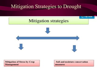 Mitigation Strategies to Drought
 
