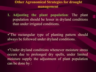 Other Agronomical Strategies for drought
management
1. Adjusting the plant population: The plant
population should be lesser in dryland conditions
than under irrigated conditions.
The rectangular type of planting pattern should
always be followed under dryland conditions.
Under dryland conditions whenever moisture stress
occurs due to prolonged dry spells, under limited
moisture supply the adjustment of plant population
can be done by :
 