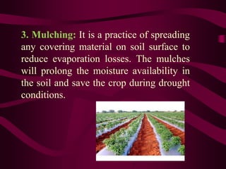 3. Mulching: It is a practice of spreading
any covering material on soil surface to
reduce evaporation losses. The mulches
will prolong the moisture availability in
the soil and save the crop during drought
conditions.
 