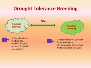 Breeding for Drought resistance in Rice | PPTX