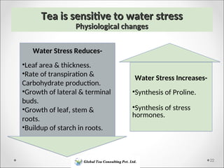 Drought Stress Management in Tea Estate.ppt