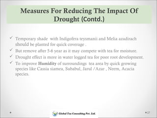 Drought Stress Management in Tea Estate.ppt