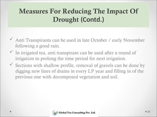 Drought Stress Management in Tea Estate.ppt