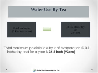 Drought Stress Management in Tea Estate.ppt
