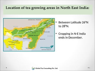 Drought Stress Management in Tea Estate.ppt