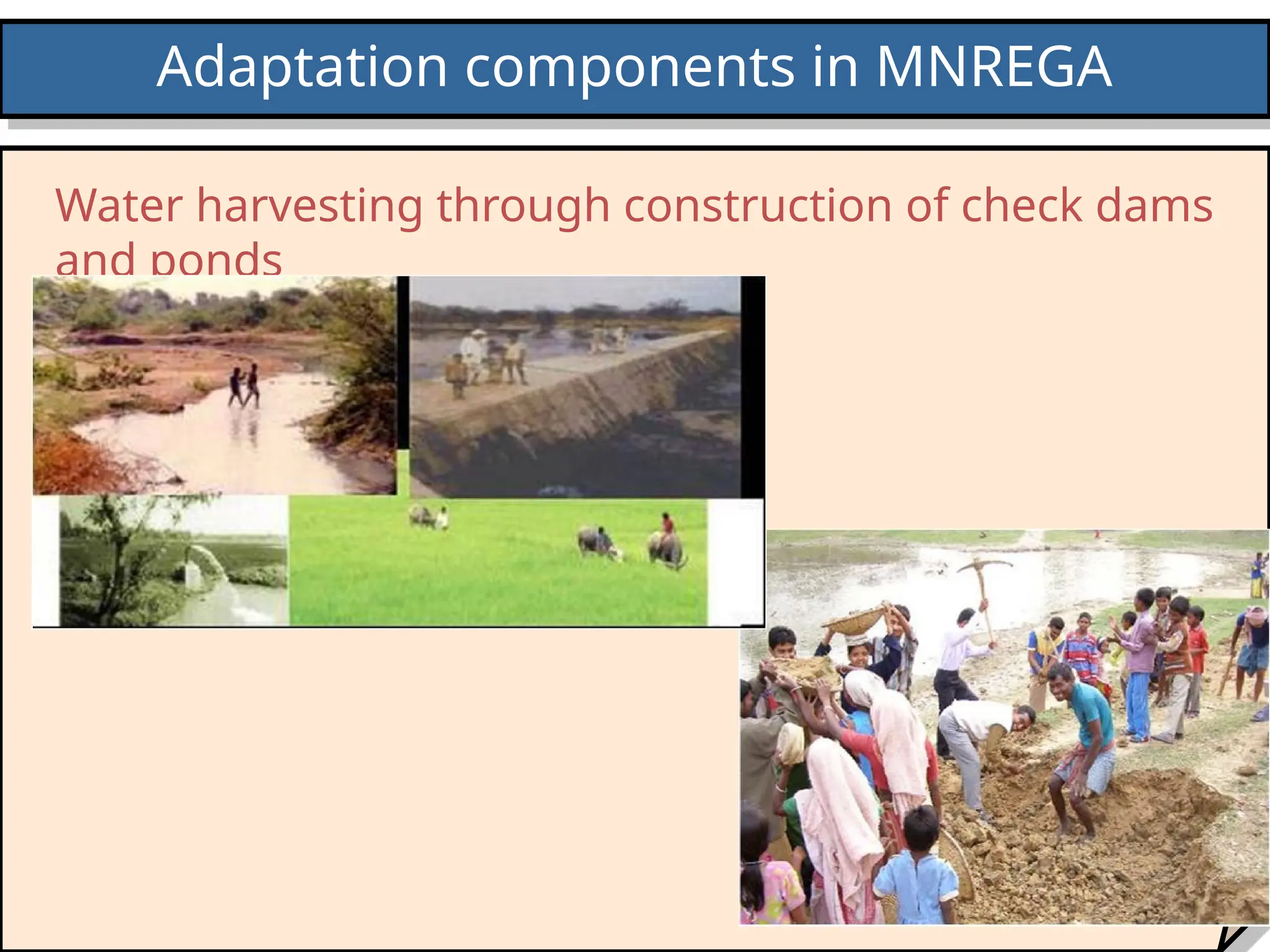Adaptation components in MNREGA
Water harvesting through construction of check dams
and ponds
 