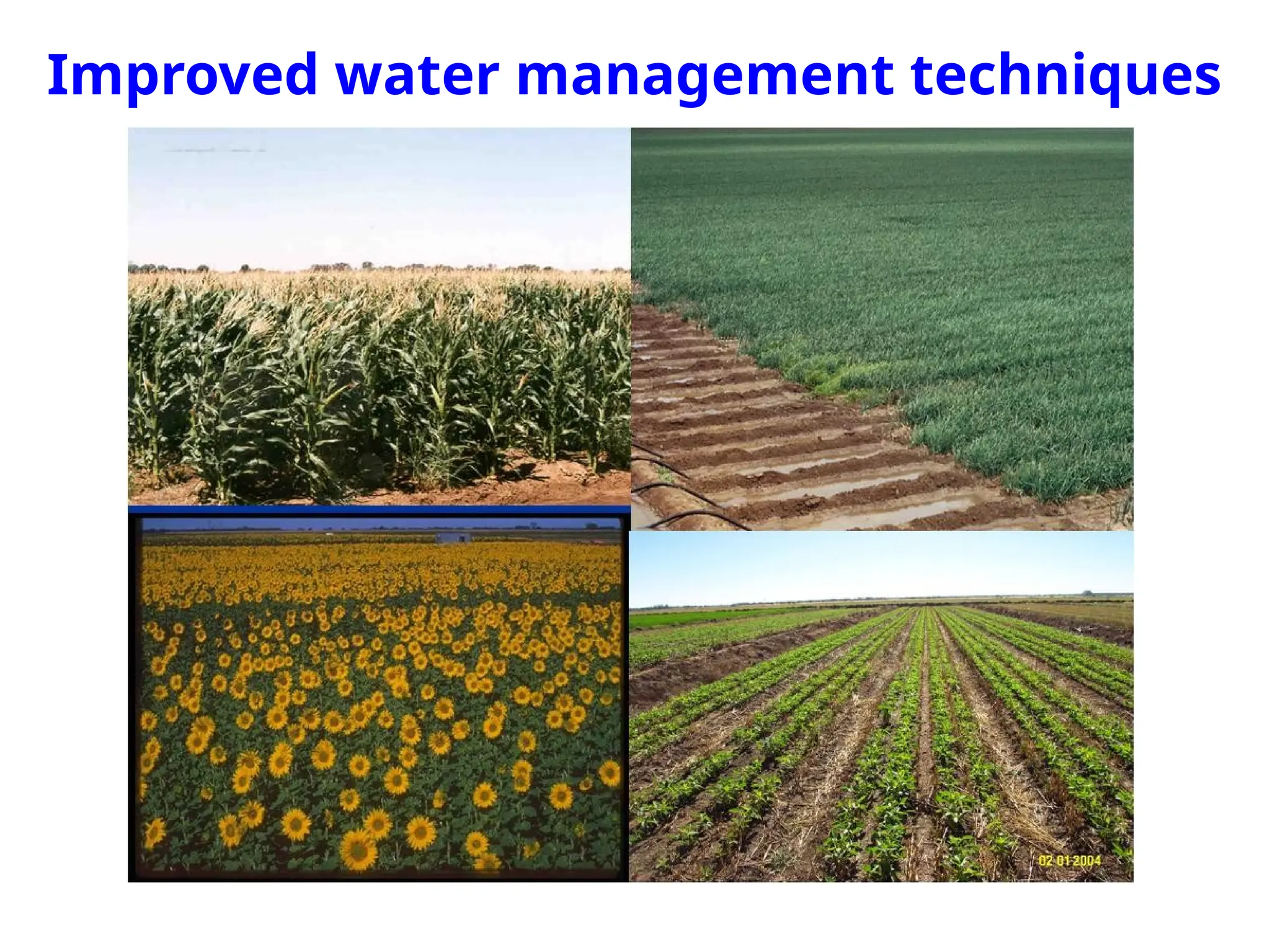Improved water management techniques
 