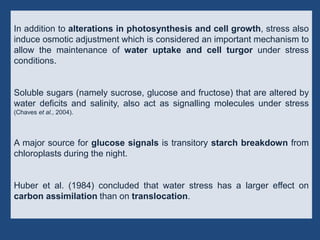 Drought n heat abiotic stress in plants | PPTX